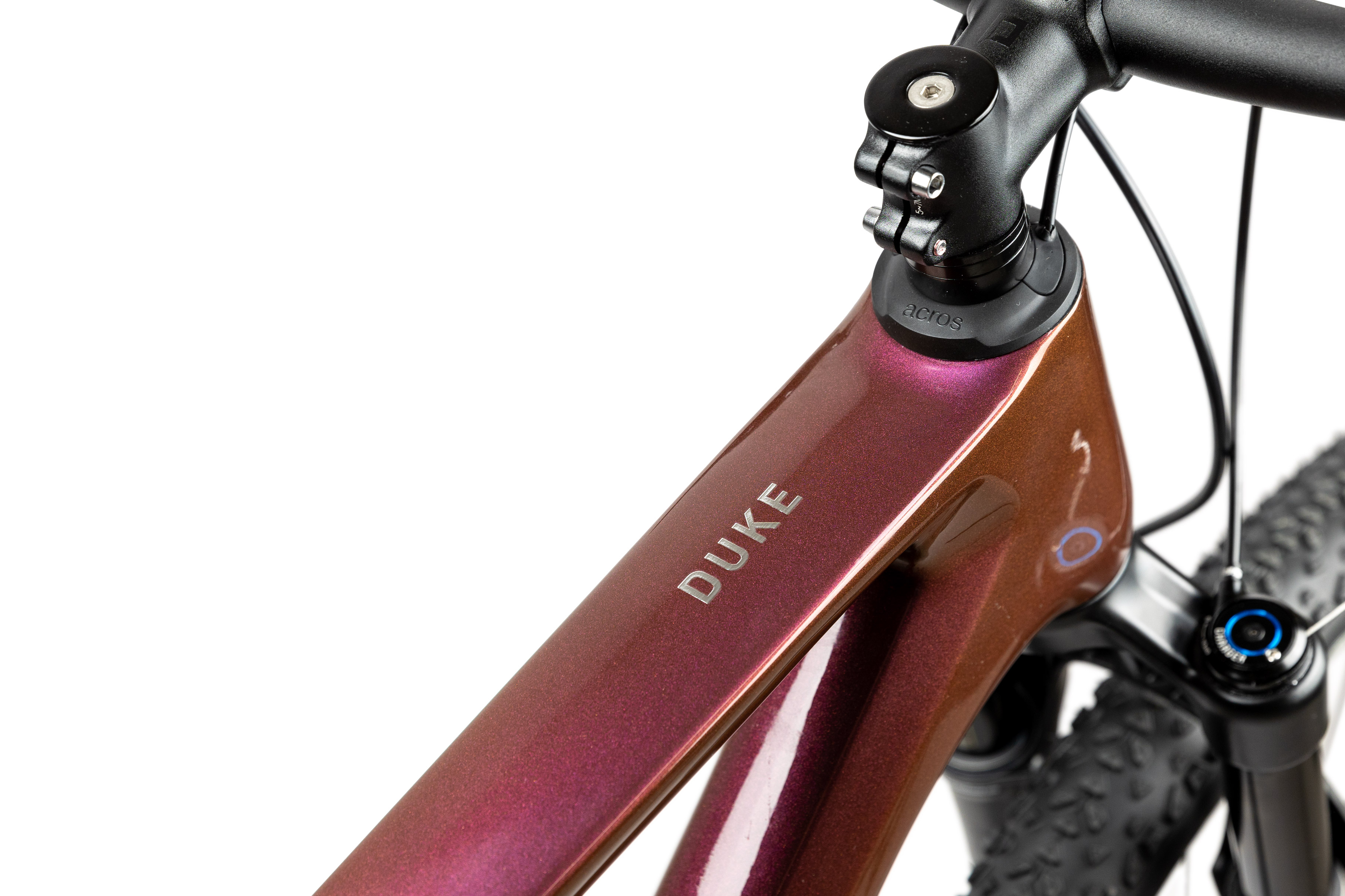 pells-duke-1-eggplant_2_o