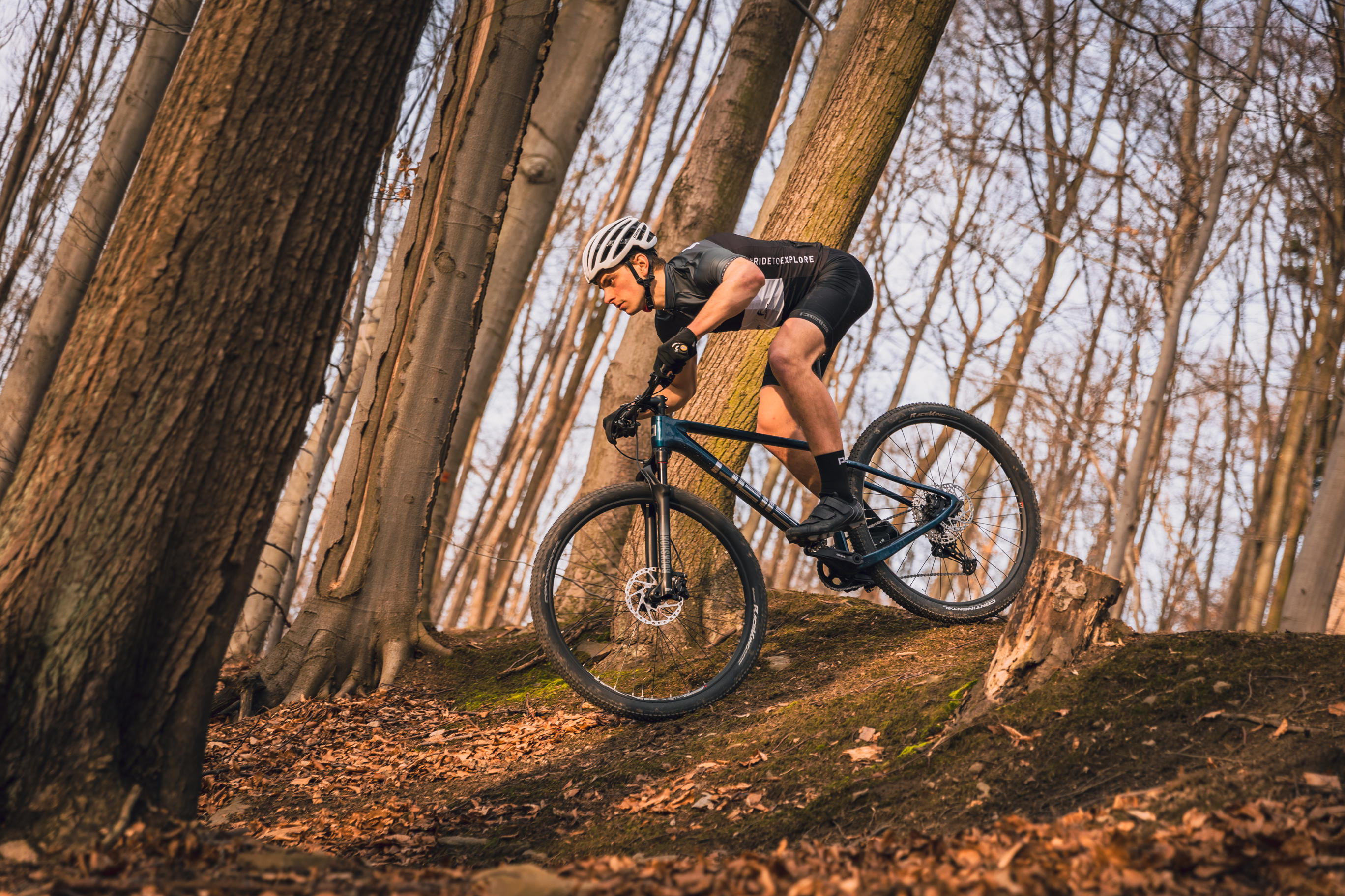 pells-duke-1-eggplant_5_o