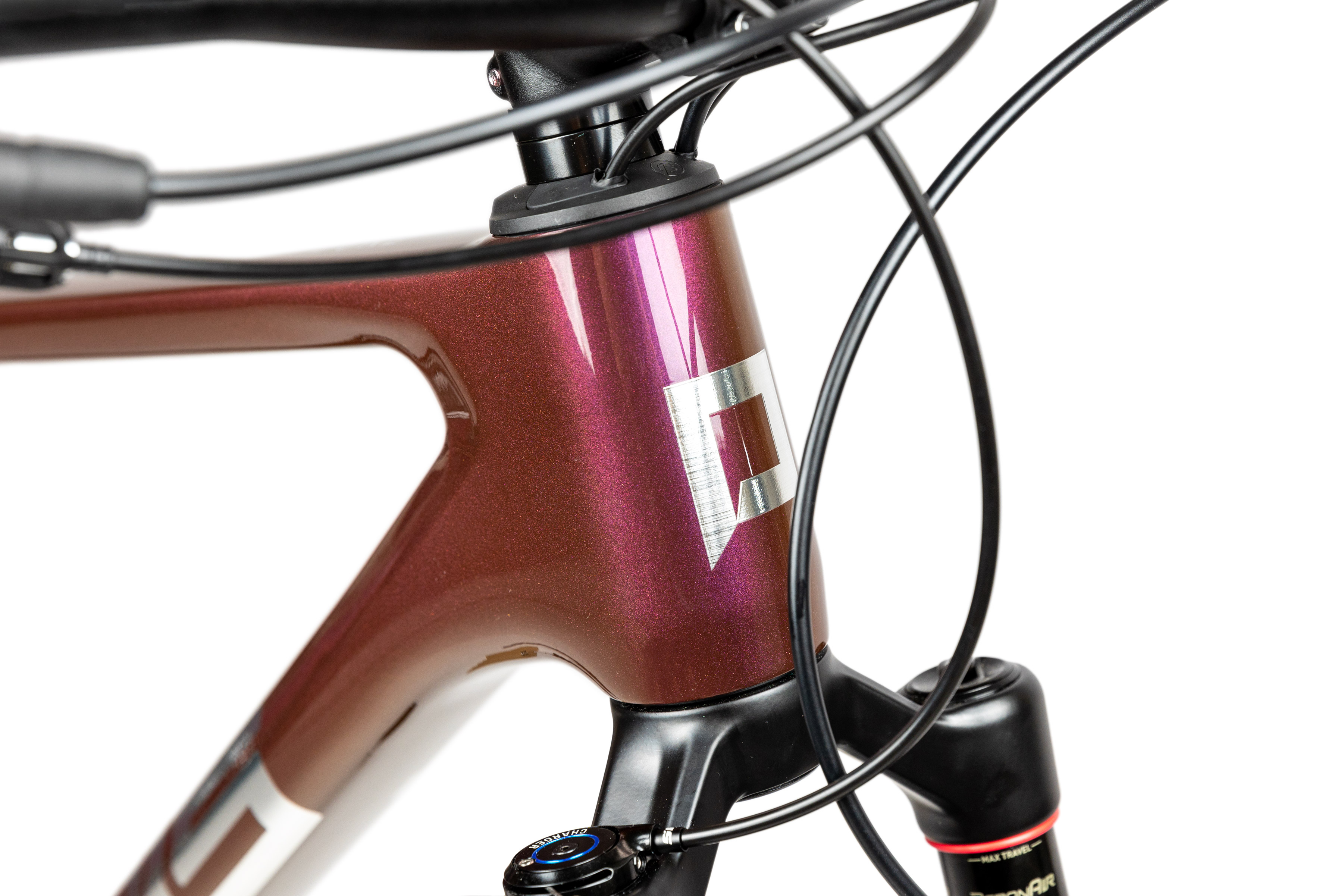 pells-duke-1-eggplant_7_o