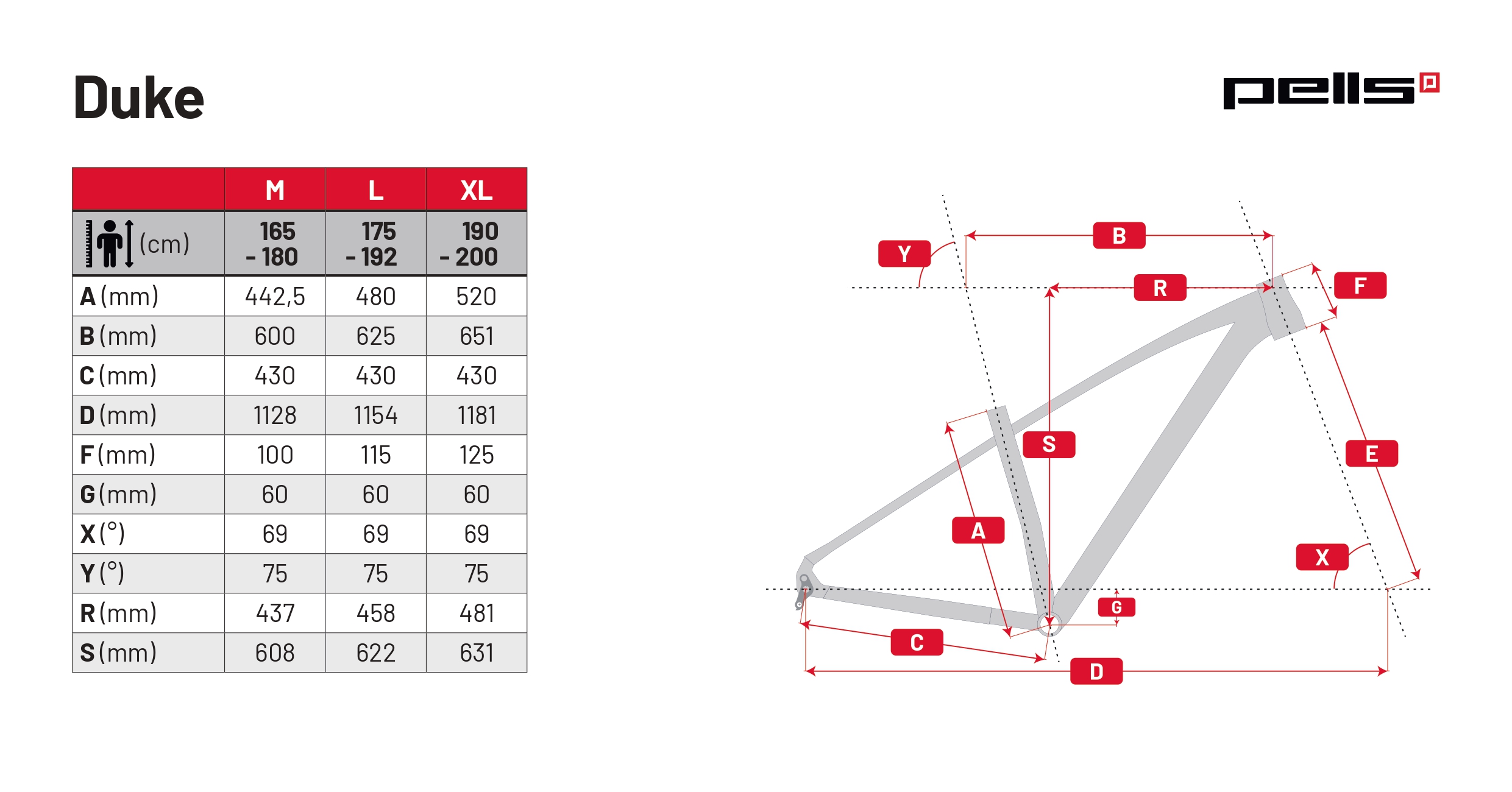 pells-duke-3-petrol-blue_6_o