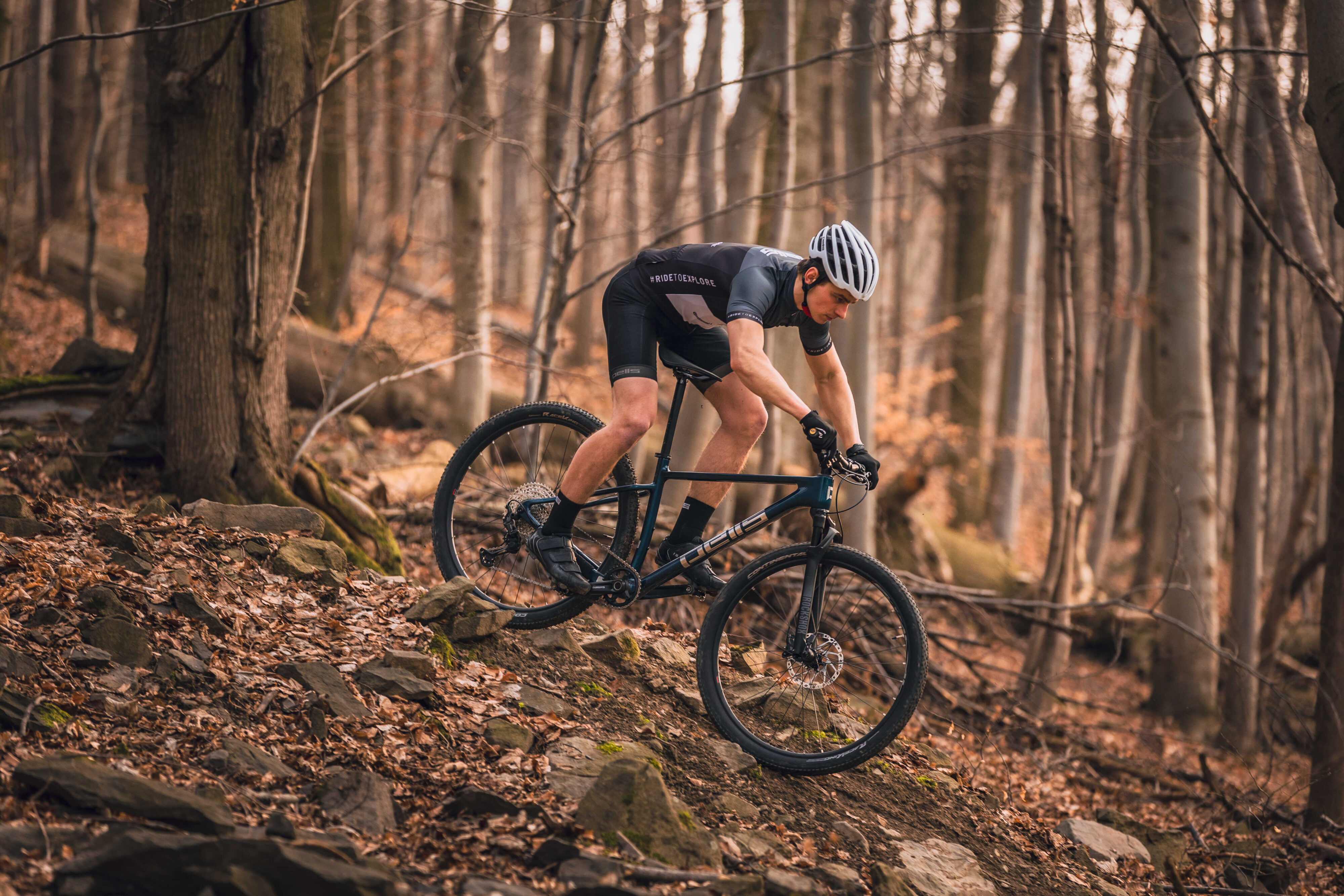 pells-duke-3-petrol-blue_9_o-scaled