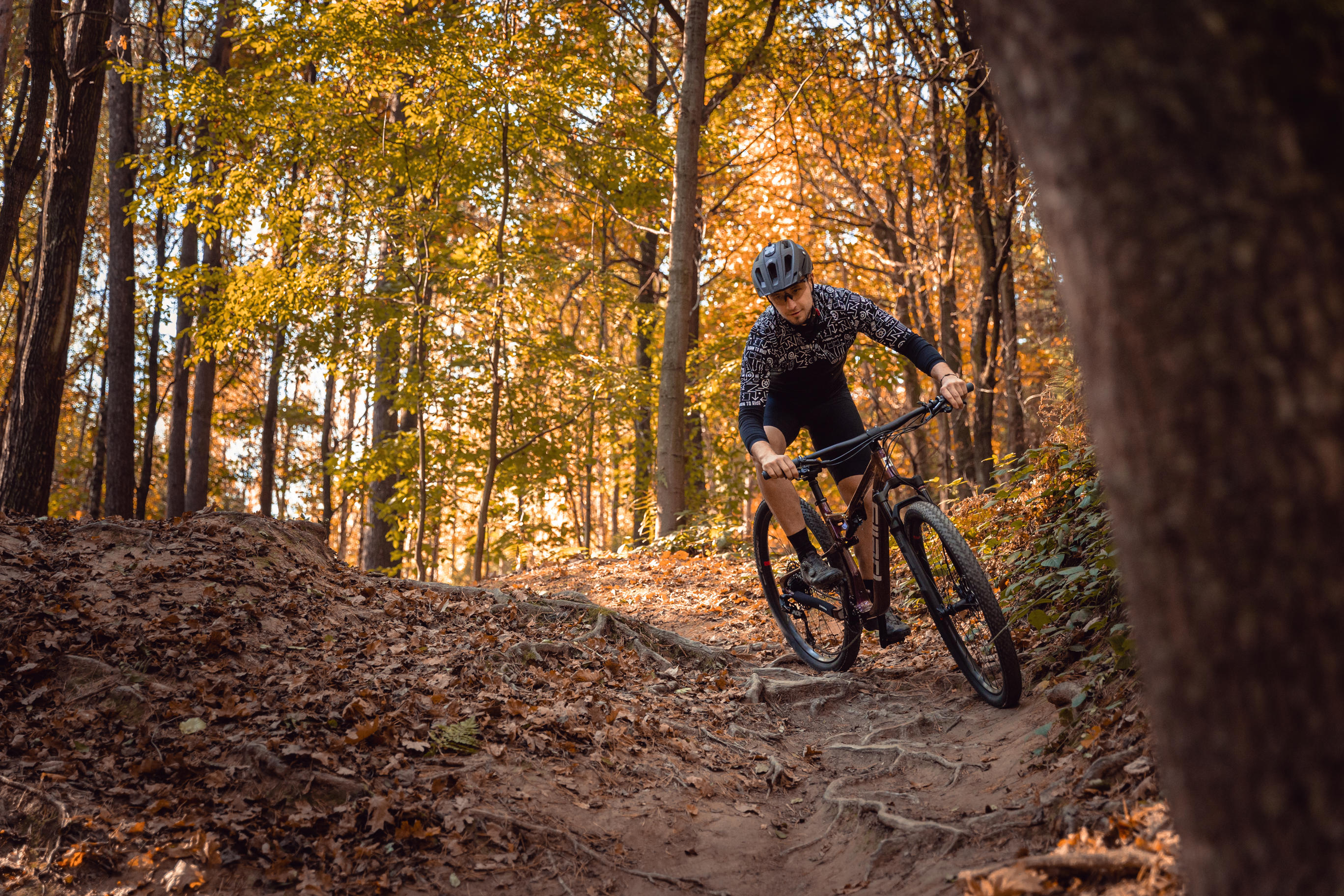 pells-duke-fs-ultimate-29-eggplant_4_o