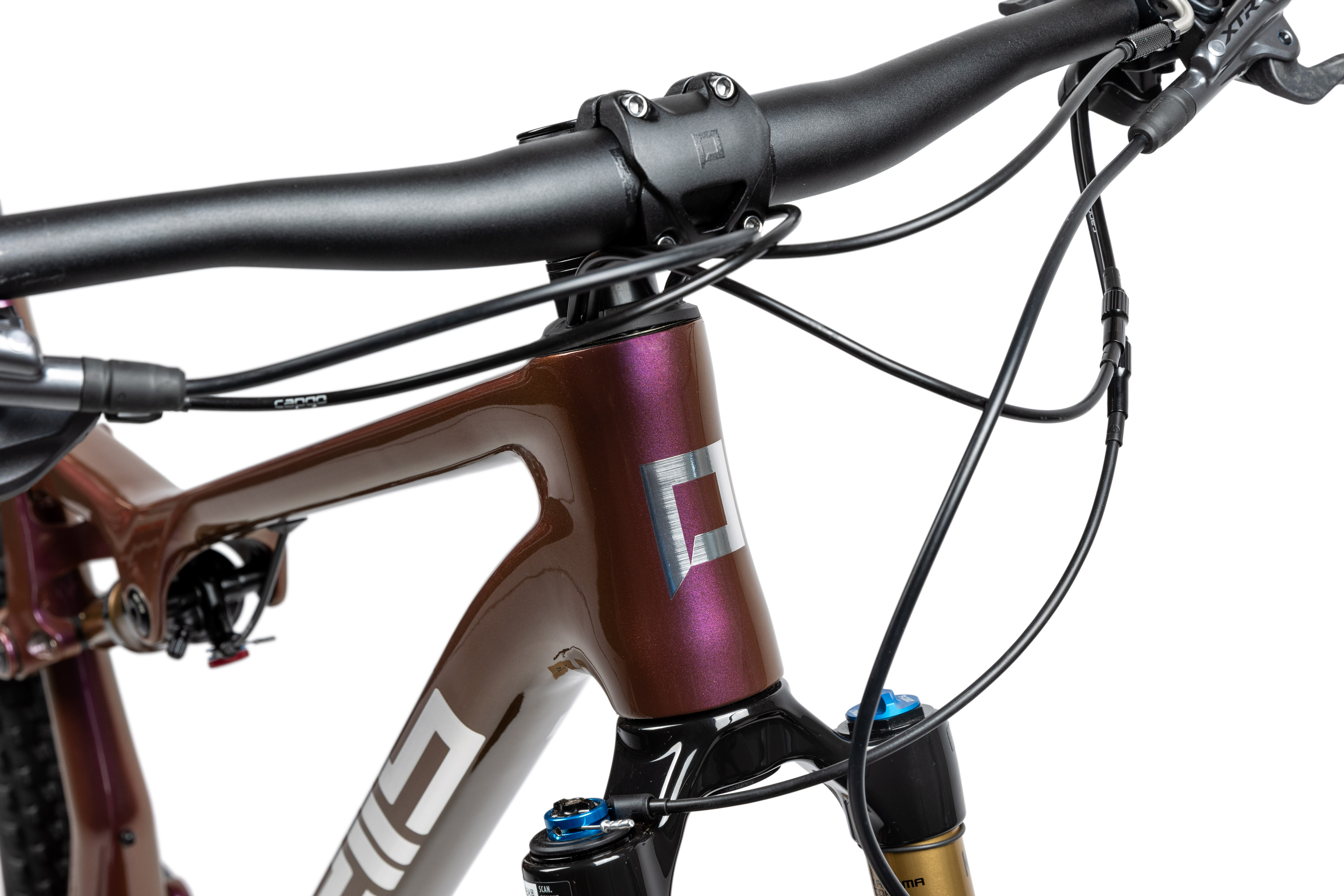 pells-duke-fs-ultimate-eggplant_2_o