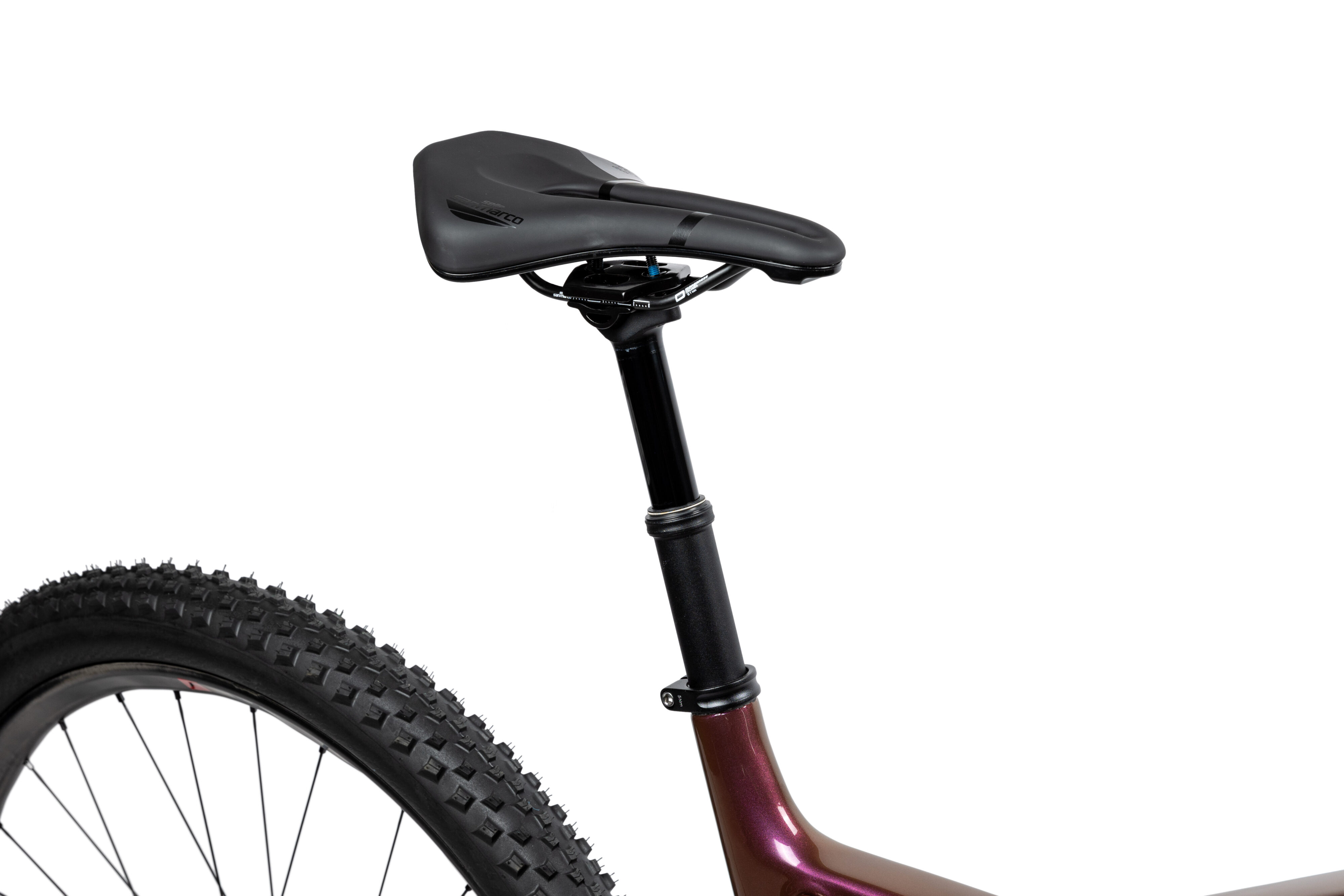 pells-duke-fs-ultimate-eggplant_8_o-scaled